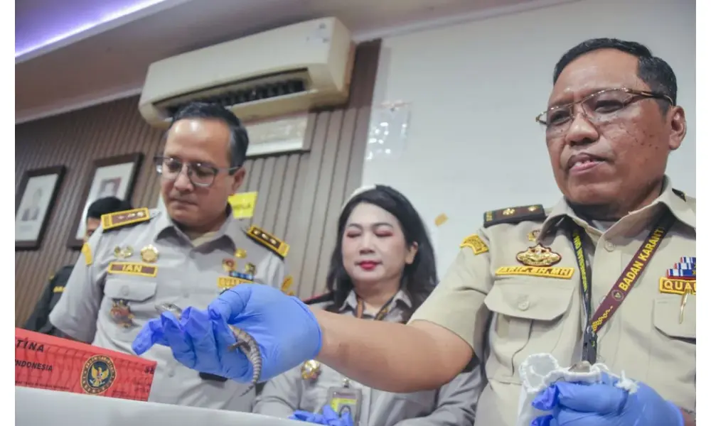Barantin dan Bea Cukai Gagalkan Penyelundupan 10 Satwa Hidup dari Thailand