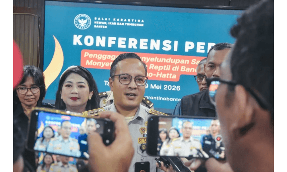 Barantin Sebut Pelaku Penyelundupan Satwa dari Thailand Terancam 10 Tahun Penjara