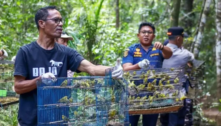 BKSDA NTT Lepasliarkan 1.000 Burung Hasil Gagalan Penyelundupan di Labuan Bajo
