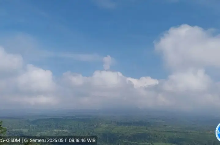Gunung Semeru Kembali Erupsi, Tinggi Letusan Capai 800 Meter di Atas Puncak