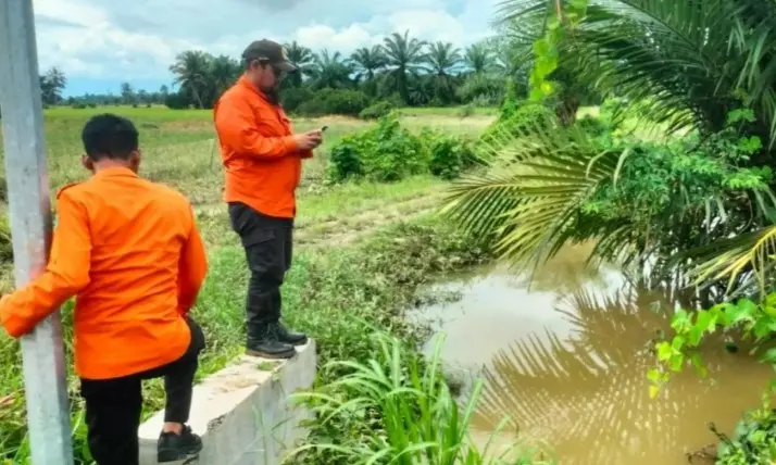 BNPB Masih Pantau Dampak Banjir yang Rendam Puluhan Hektare Lahan di Luwu Timur