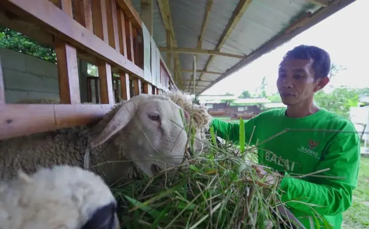 Baznas RI Perkuat Layanan Kurban 2026 untuk Dorong Dampak Ekonomi Umat