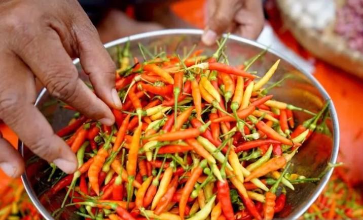 Harga Cabai Rawit Tembus Rp67.650 per Kg, Telur Ayam Rp31.000 Menurut PIHPS