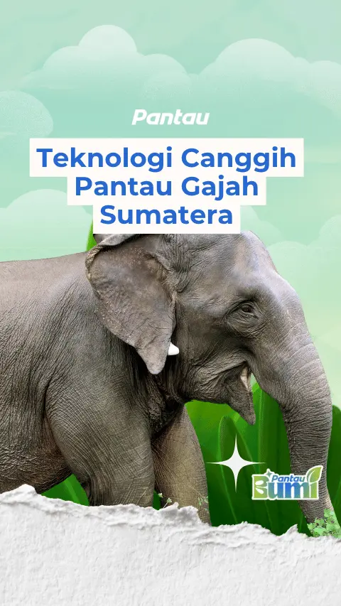TEKNOLOGI CANGGIH PANTAU GAJAH SUMATERA