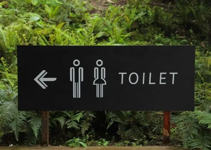 Dokter Peringatkan Duduk di Toilet Lebih dari 15 Menit Bisa Picu Wasir