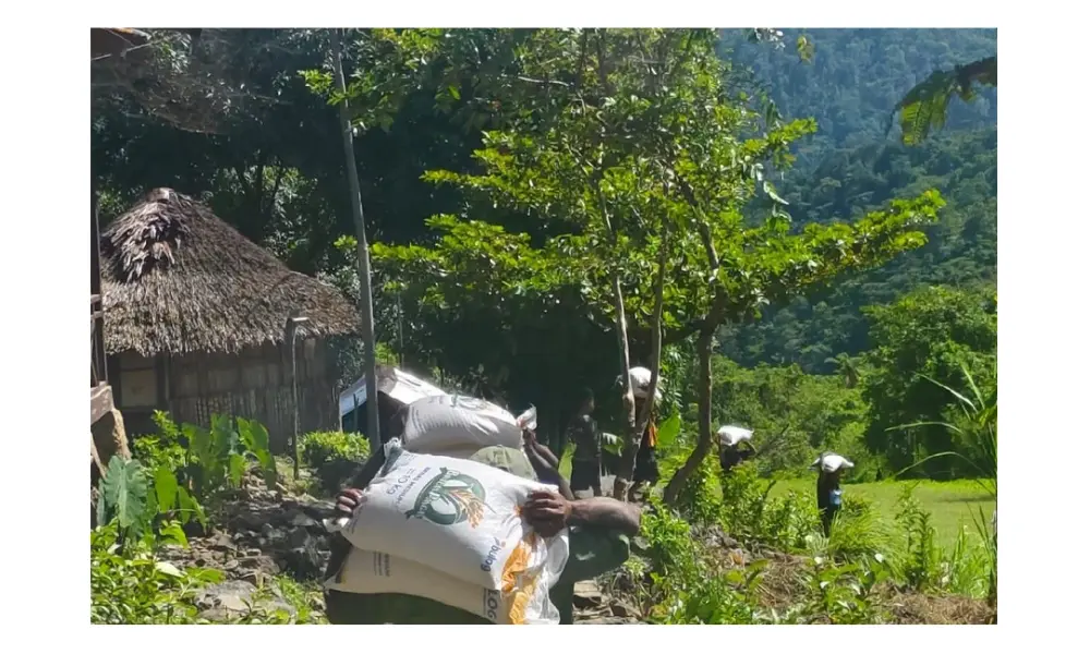 Bulog Andalkan Pesawat Perintis untuk Distribusi Pangan di Pegunungan Bintang Papua