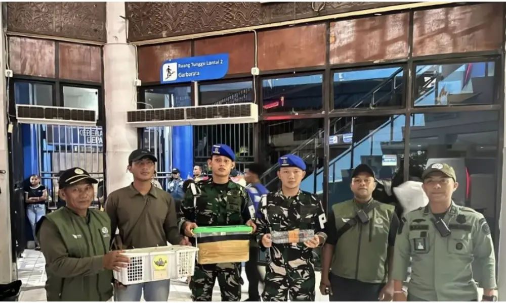 Patroli Gabungan TNI AL dan BBKSDA Gagalkan Penyelundupan Delapan Satwa Dilindungi di Pelabuhan Sorong
