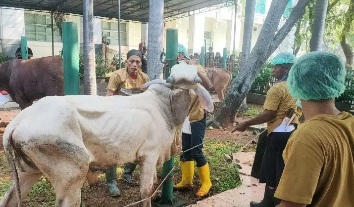 Pemprov DKI Jakarta Latih 80 Juru Sembelih Halal untuk Sambut Idul Adha 2026