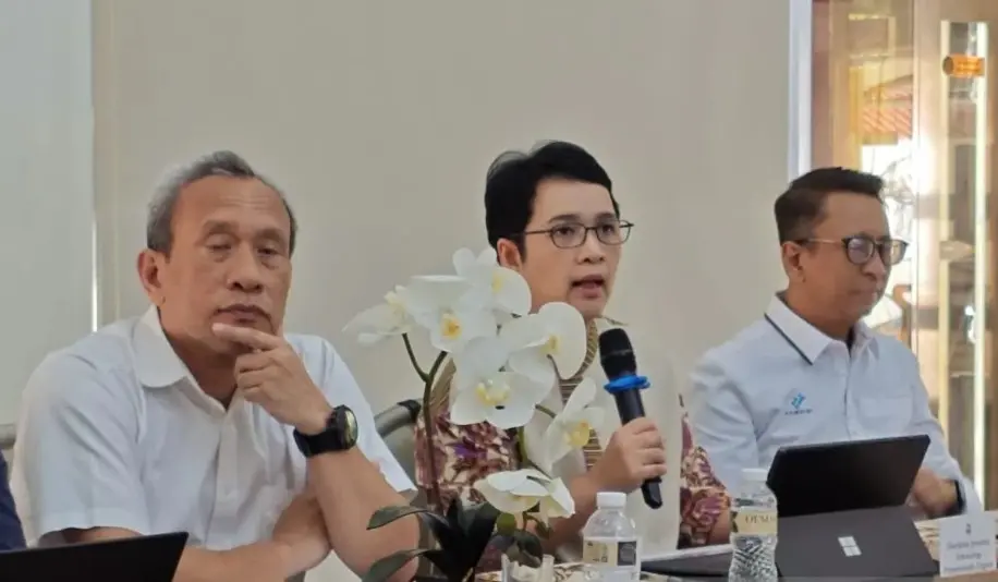 Pemerintah Perluas Uji Coba Perlinsos Digital ke 42 Daerah Mulai Juni 2026