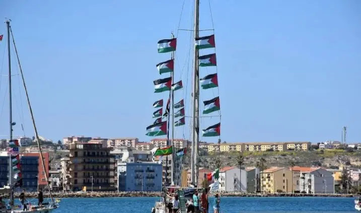 Adik Presiden Irlandia Dilaporkan Ditahan Israel saat Ikut Flotilla Kemanusiaan Gaza