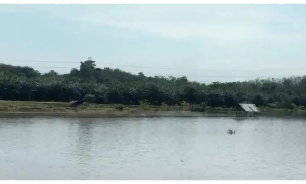 BPBD Kota Bengkulu Siagakan TRC 24 Jam Hadapi Ancaman Bencana Cuaca Ekstrem