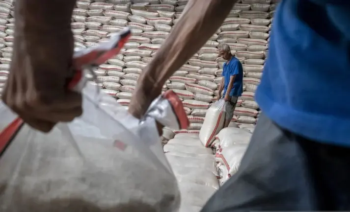Produksi Beras Nasional Meningkat, Indonesia Dinilai Kian Kokoh Menuju Swasembada Pangan