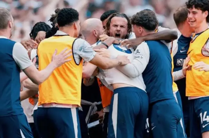 Tottenham Selamat dari Degradasi Usai Tundukkan Everton 1-0 di Pekan Terakhir Liga Inggris
