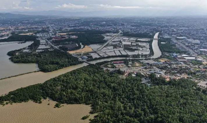Kemenhut Buka Peluang Investasi Kehutanan untuk Perdagangan Karbon Global