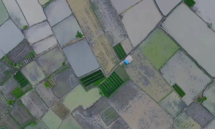 Wamentan Sebut Program Cetak Sawah Jadi Investasi Jangka Panjang Ketahanan Pangan