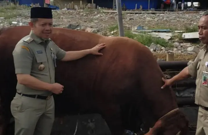 Pemkab Kepulauan Seribu Pastikan Hewan Kurban Sehat dan Sesuai Syariat Islam
