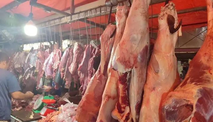 Pemkot Bengkulu Wajibkan Hewan Kurban Masuk Wilayah Lengkapi SKKH