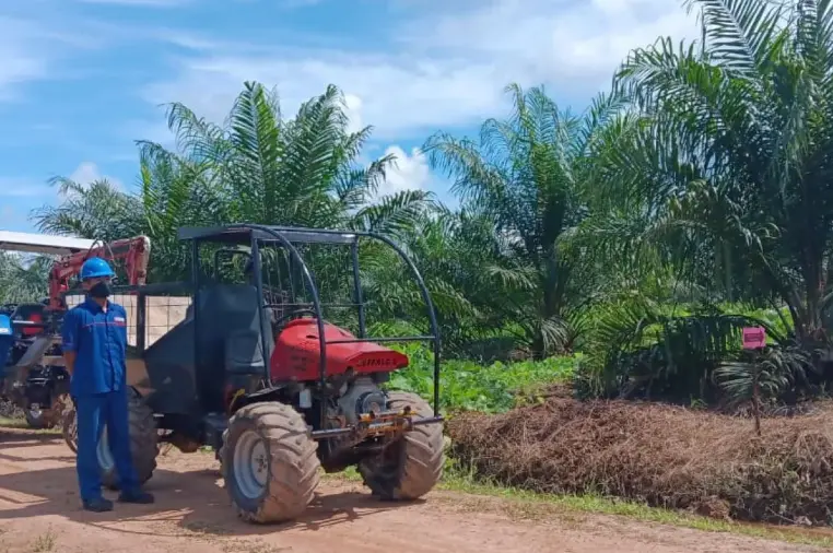 Gapki Dorong Transformasi Teknologi untuk Dongkrak Produktivitas Sawit Nasional di Tengah Persaingan Global