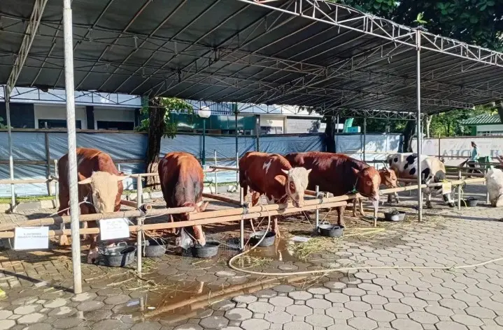BAZNAS Kota Tangerang Catat Dana Kurban Idul Adha 2026 Tembus Rp1,3 Miliar