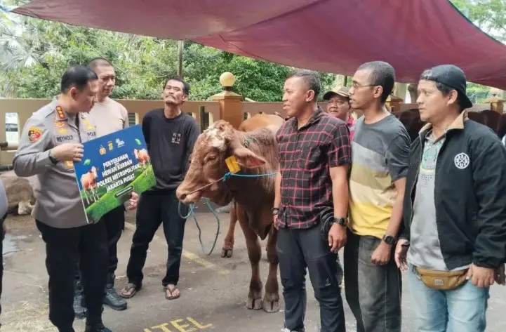 Polres Metro Jakpus Salurkan Sapi Kurban 750 Kilogram untuk Bale Wartawan