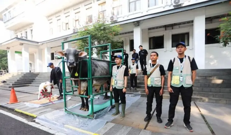 Pemkot Bandung Pastikan 18.036 Hewan Kurban Sehat dan Bebas PMK Jelang Idul Adha 1447 Hijriah