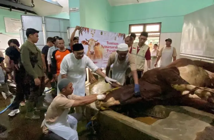 Sapi Kurban Bantuan Presiden Prabowo di Yogyakarta Dibagikan untuk Warga Bantaran Sungai Code