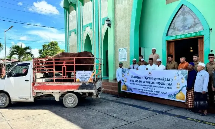 Bupati Bulungan Serahkan Sapi Kurban Presiden Prabowo ke Masjid Jami Habib Ahmad Alkaf