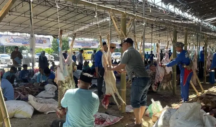 Kemendes Jadikan Kabupaten Serang Proyek Percontohan Penyaluran Hewan Kurban Nasional