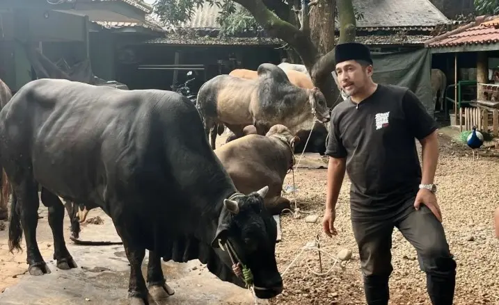 Irfan Hakim Sebut Jumlah Hewan Kurban Tahun Ini Meningkat dibanding 2025