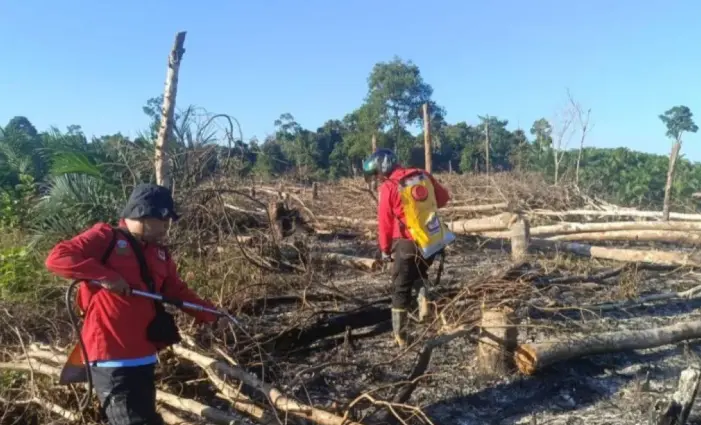 Kebakaran Hutan di Muara Enim Terdeteksi dari Udara, BPBD dan Tim Gabungan Berhasil Padamkan Api Seluas Satu Hektare