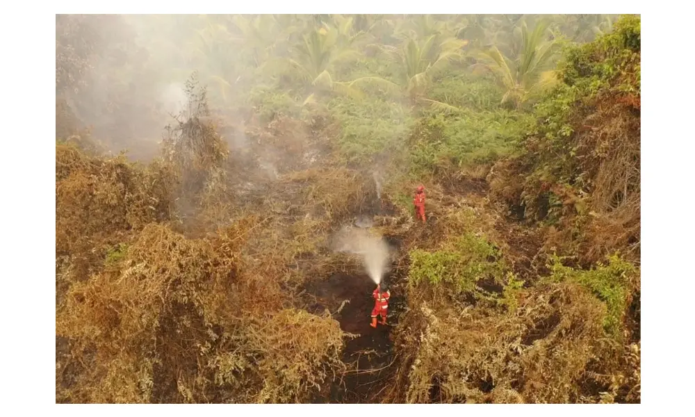 Manggala Agni Padamkan Karhutla 60 Hektare di Pelalawan, Asap Tebal Masih Selimuti Lokasi