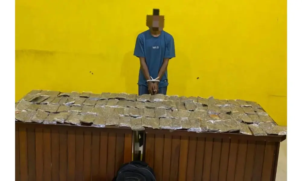 Polresta Sorong Gagalkan Peredaran 4,8 Kilogram Ganja, Satu Tersangka Ditangkap