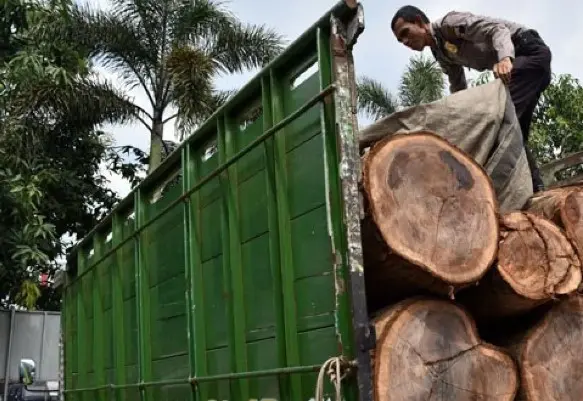 Kemenhut Tangkap Dua Pelaku Pembalakan Liar di Hutan Lindung Lampung Selatan