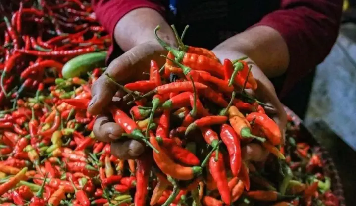 PIHPS Catat Cabai Rawit Merah Naik ke Rp92.250 per Kilogram