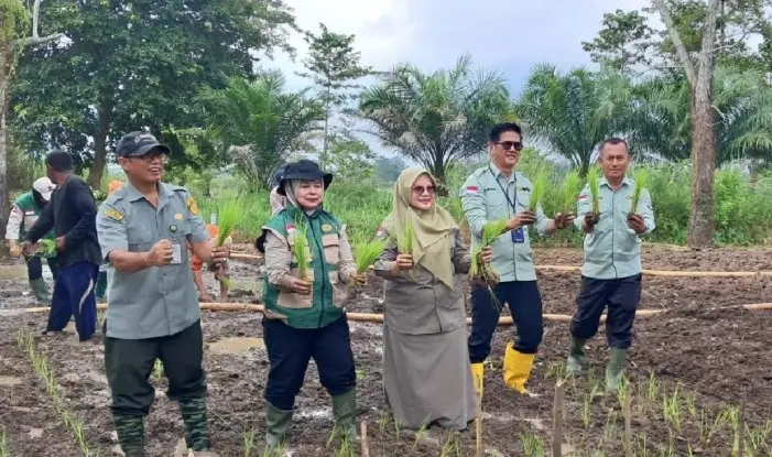 Kota Jambi Targetkan Luas Tambah Tanam Padi 538 Hektare untuk Dukung Swasembada Pangan 2026