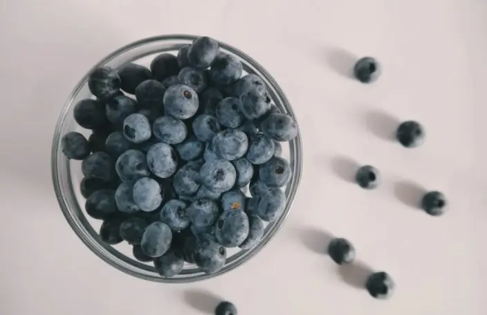 Blueberry Berpotensi Bantu Jaga Kesehatan Tulang dan Kurangi Risiko Osteoporosis