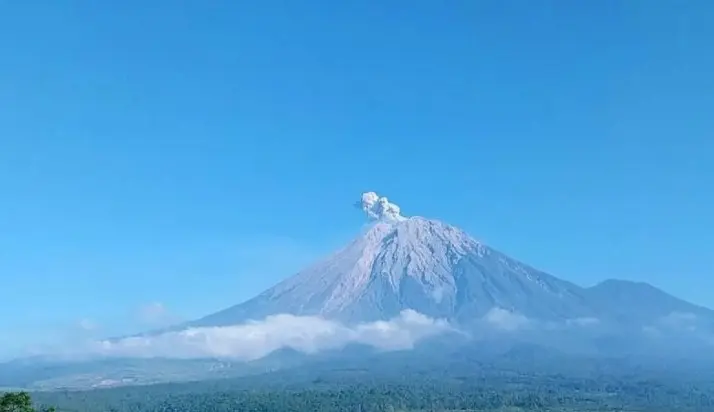 Gunung Semeru Erupsi Tujuh Kali dalam Sehari, Tinggi Letusan Mencapai 700 Meter di Atas Puncak