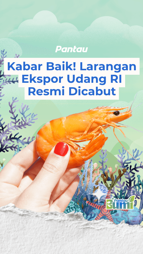LARANGAN EKSPOR UDANG RI RESMI DICABUT