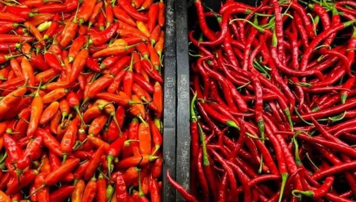 Harga Cabai Rawit Tembus Rp84.400 per Kg, Telur Ayam Ras Rp31.350 per Kg Menurut PIHPS