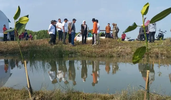 Pemkab Demak Tanam 1.500 Bibit Mangrove untuk Kurangi Abrasi dan Dampak Banjir Rob