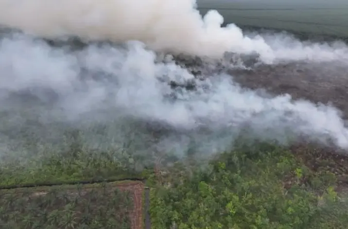 Manggala Agni Perkuat Operasi Pemadaman Karhutla di Bengkalis dan Rokan Hilir