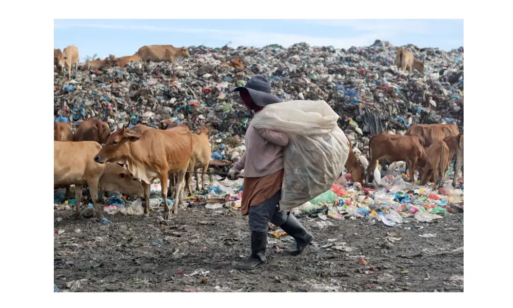 Tingkat Pengelolaan Sampah Indonesia Naik Jadi 24,95 Persen, Volume Limbah Masih Jadi Tantangan