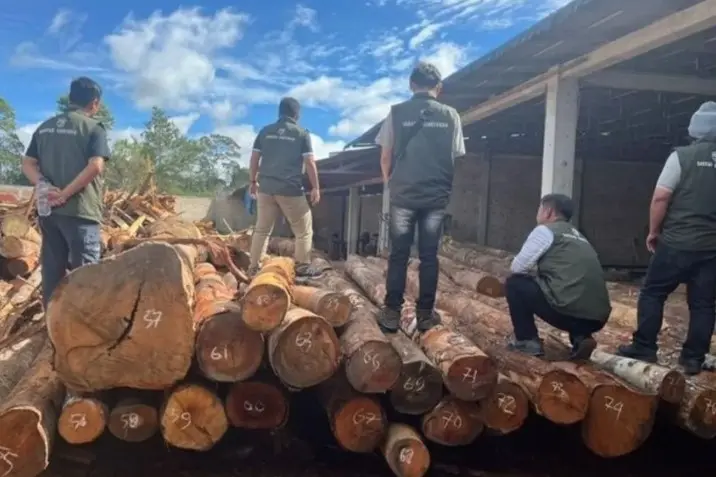 Kemenhut Amankan 219 Batang Kayu Ilegal di Humbang Hasundutan Sumatera Utara
