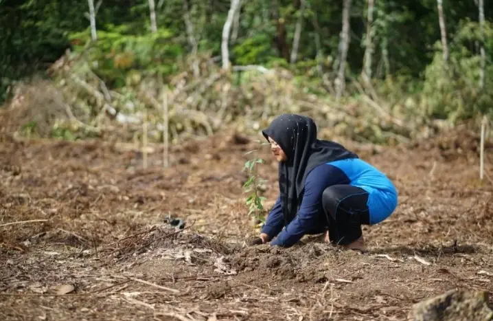Pemkab Tapanuli Selatan dan Lembaga Konservasi Dukung Restorasi Habitat Orangutan Tapanuli di Batang Toru
