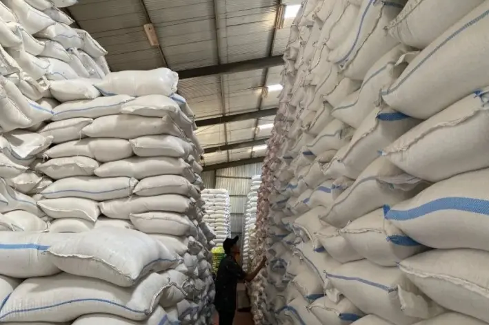 Cadangan Beras Pemerintah Cetak Rekor, Produksi Nasional Diminta Tetap Dijaga