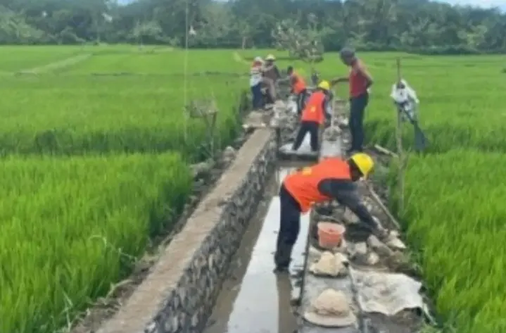 Menteri PU Sebut P3TGAI Jaga Keberlanjutan Sistem Subak dan Ketahanan Pangan di Bali
