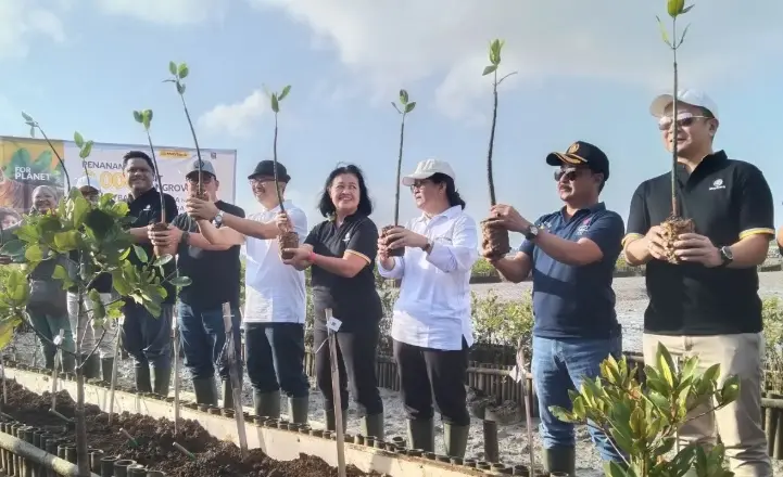 Kemenkeu Petakan Potensi Perdagangan Karbon Bali Capai Rp1,7 Triliun dari Kawasan Mangrove