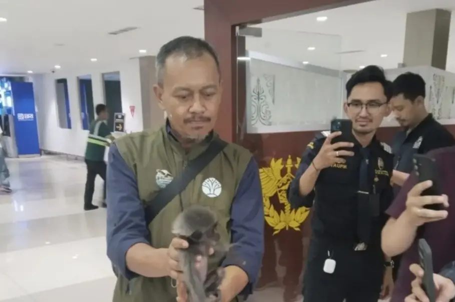 Kementerian Kehutanan Menggagalkan Penyelundupan Owa Jawa dan Biawak Tiga Warna ke Oman Melalui Bandara Soekarno-Hatta