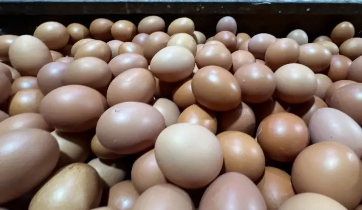 Harga Telur Ayam Bertahan Rp29.750 per Kg, Bawang Merah Rp50.950 pada Sabtu Pagi