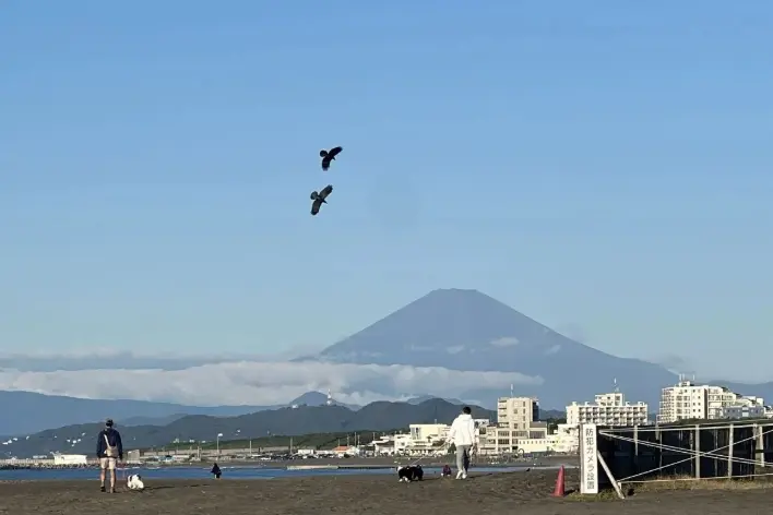 Sepuluh Orang Alami Luka Ringan Akibat Gempa Magnitudo 5,6 di Dekat Gunung Fuji